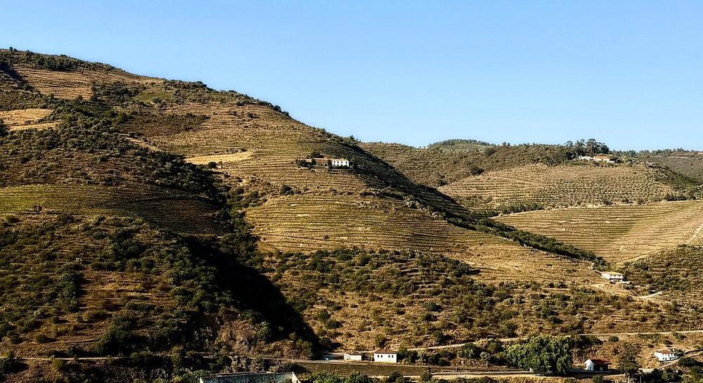 The Vine House - Quinta São Luiz